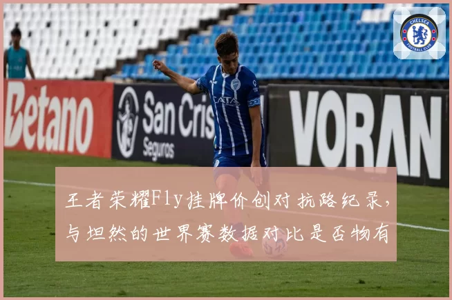 王者荣耀Fly挂牌价创对抗路纪录，与坦然的世界赛数据对比是否物有所值？