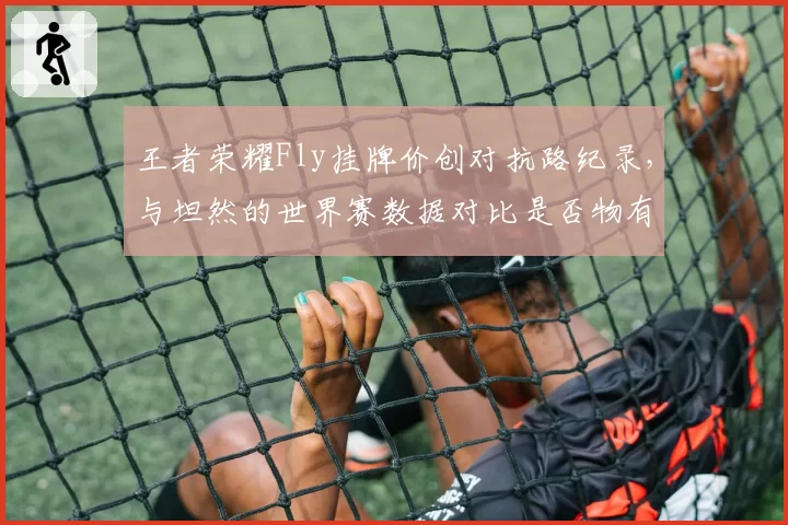 王者荣耀Fly挂牌价创对抗路纪录,与坦然的世界赛数据对比是否物有所值?