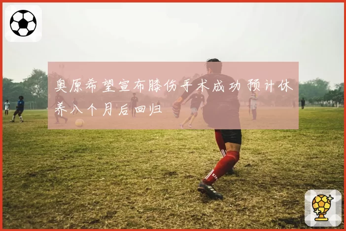 奥原希望宣布膝伤手术成功 预计休养八个月后回归