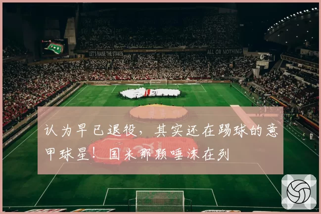 认为早已退役,其实还在踢球的意甲球星!国米那颗唾沫在列